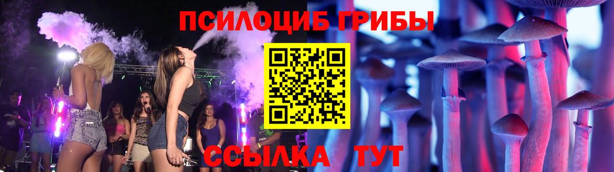 Псилоцибиновые грибы Cubensis  Вход с VPN  Ульяновск 
